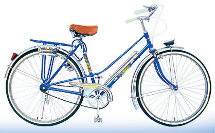 Complete Bicycle