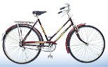 COMPLETE BICYCLES 